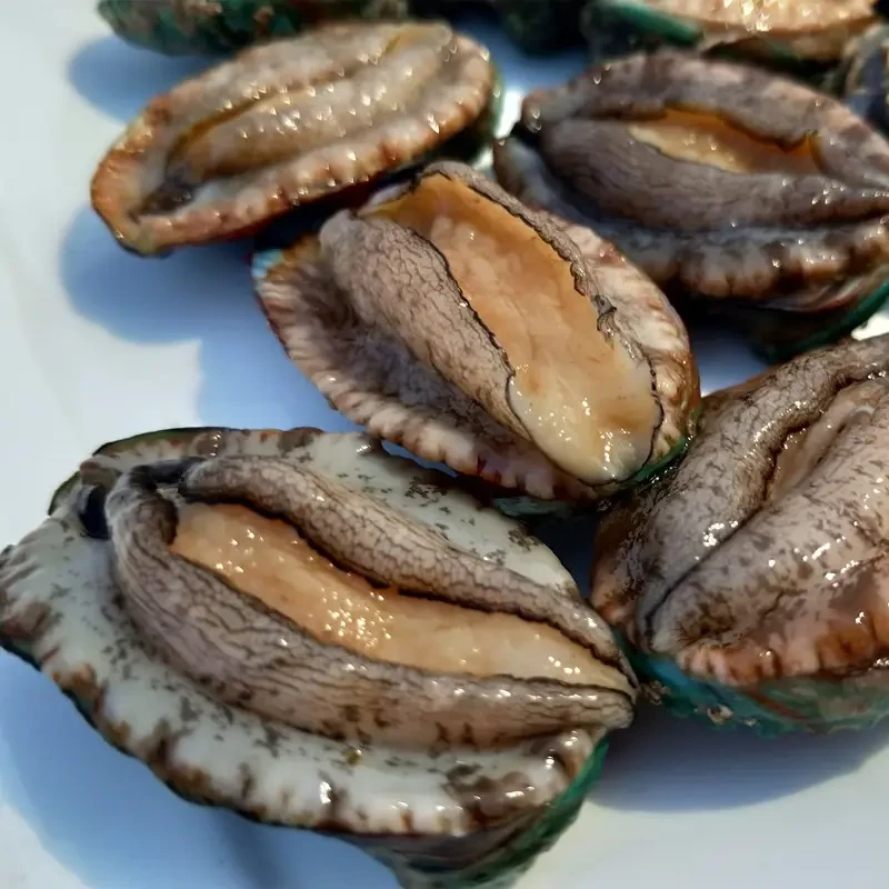 鲜活鲍鱼 （默认不杀，要处理备注）