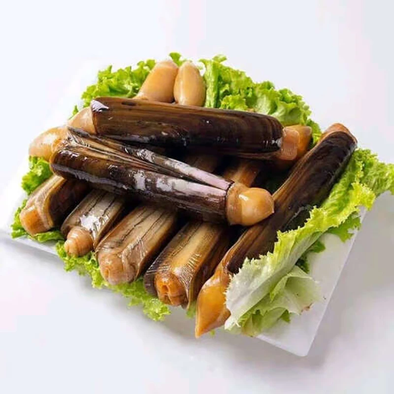 鲜活蛏子王500g