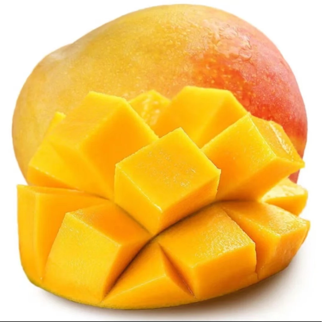 广西百色田阳热农1号芒果苹果芒清甜爽口250-500克【放软即可食用】