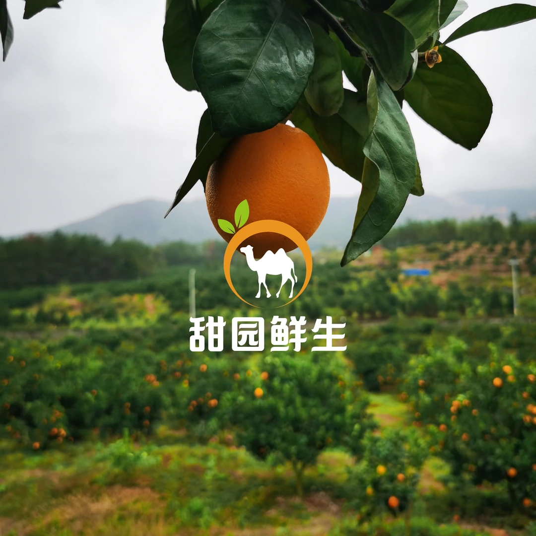 10斤•礼遇装[正宗赣南脐橙]果园直供.产地直发.坏果包赔.安心售后