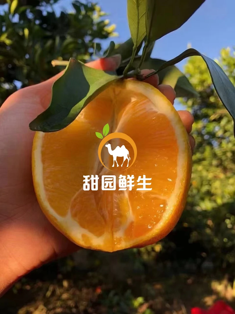 10斤装•正宗赣南脐橙-【红色故都瑞金•长征90周年纪念款•红橙树下】