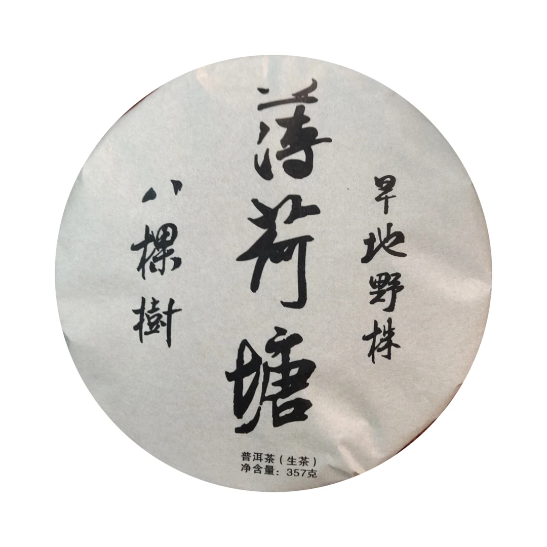 清清精选好茶 2023年 薄荷塘 八棵树 野茶 普洱生茶357g