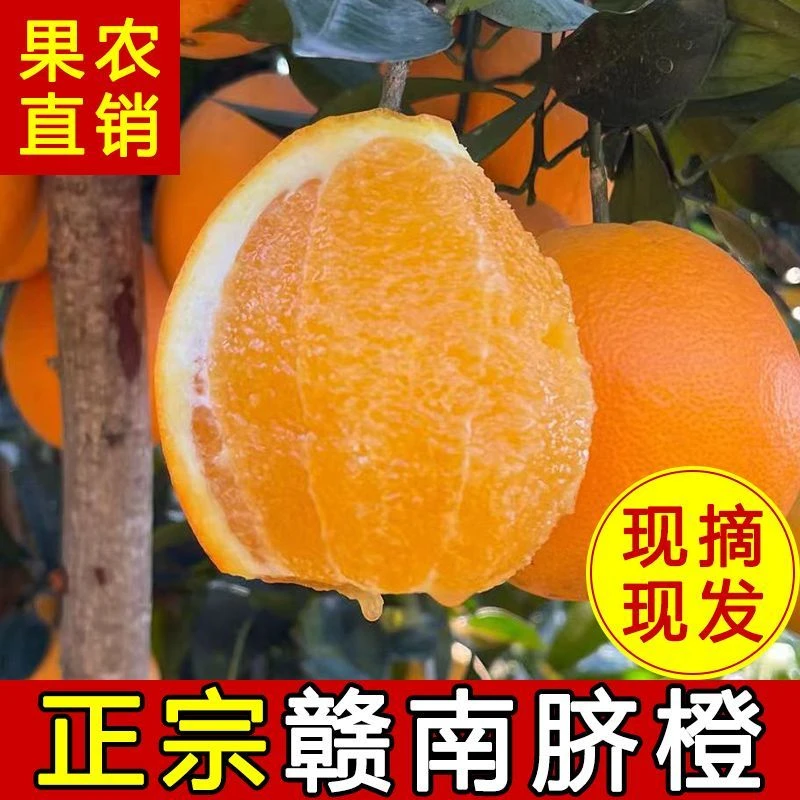 【蜜桃专属】产地发货正宗江西赣南脐橙新鲜现摘应季水果鲜榨香甜