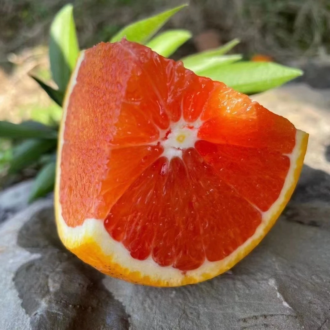 中华红血橙包邮鲜果卡拉红橙红宝石脐橙天然红橙皮薄秭归橙子现摘