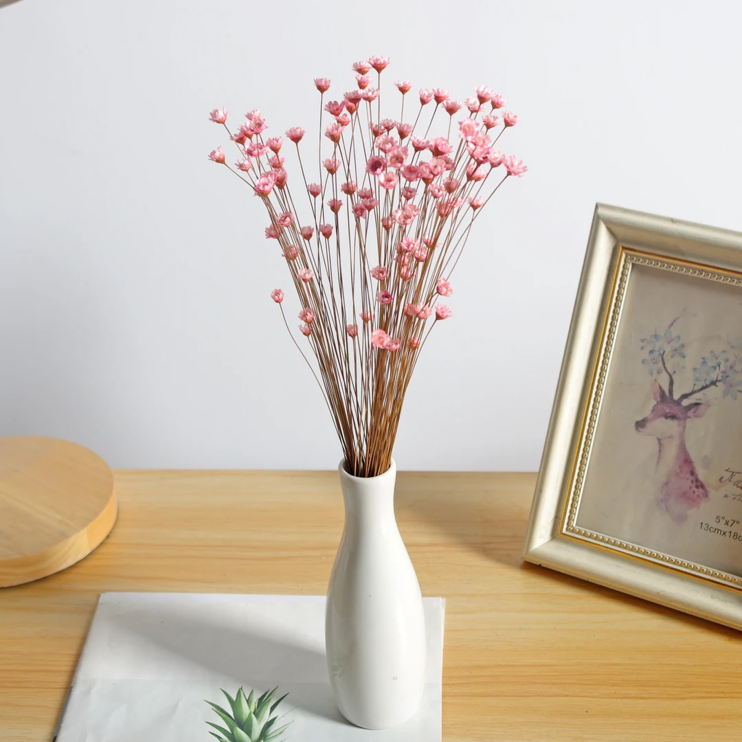 干花真花小星花巴西高级干花台面吧台书桌装饰花材意境插染色花