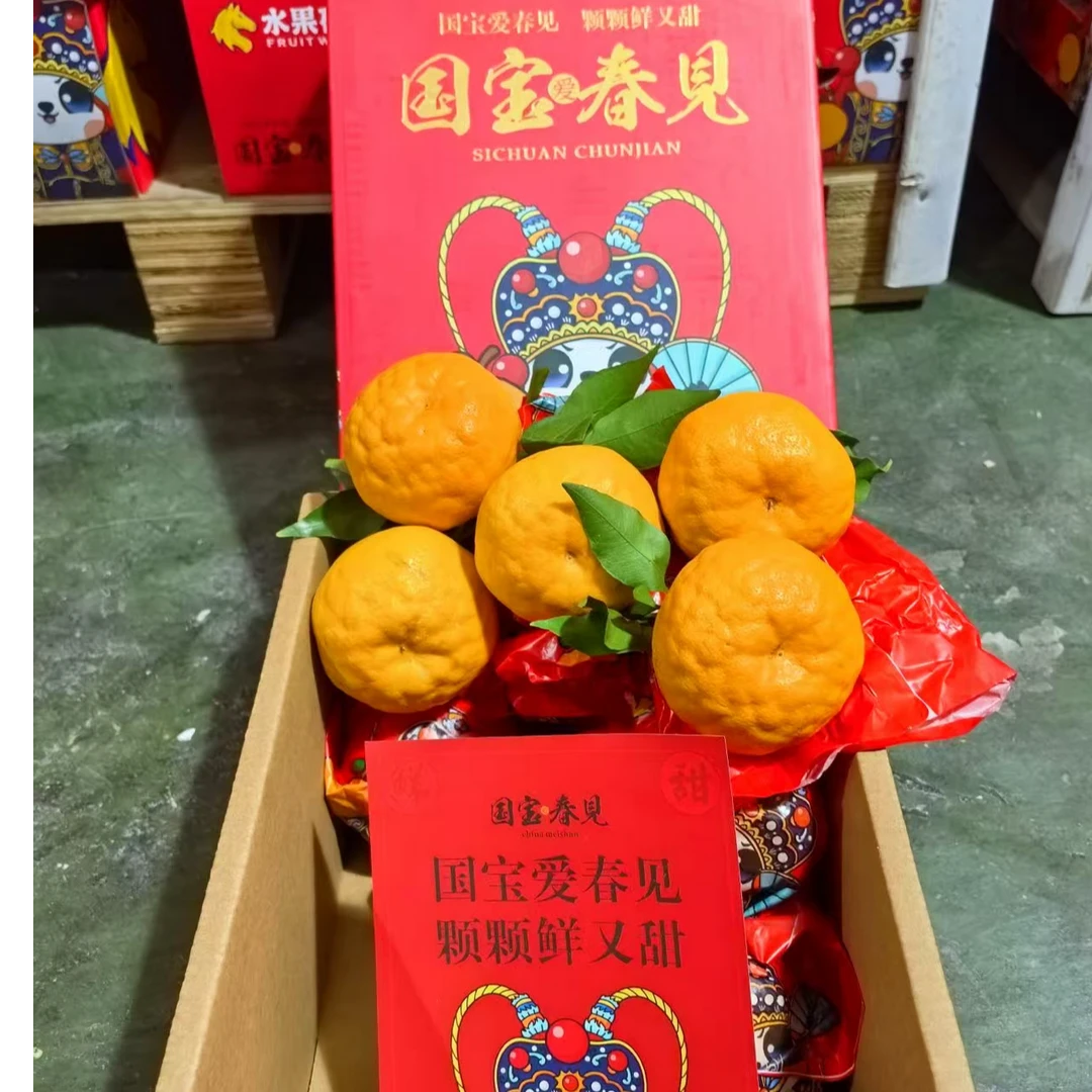 三宝爸  四川特级春见耙耙柑当季新鲜水果杷杷橘甜大果 连箱7.5斤