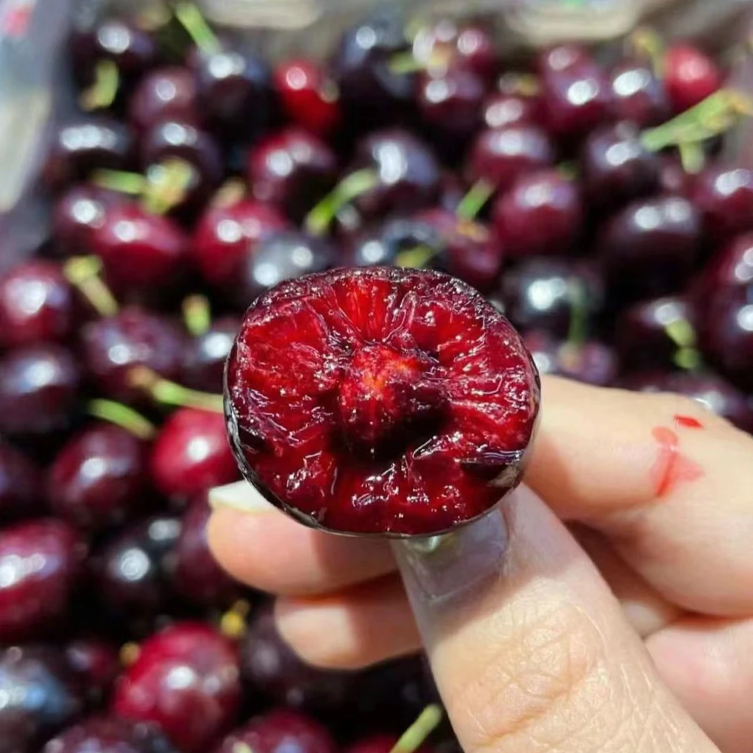 3J车厘子 件 5斤装