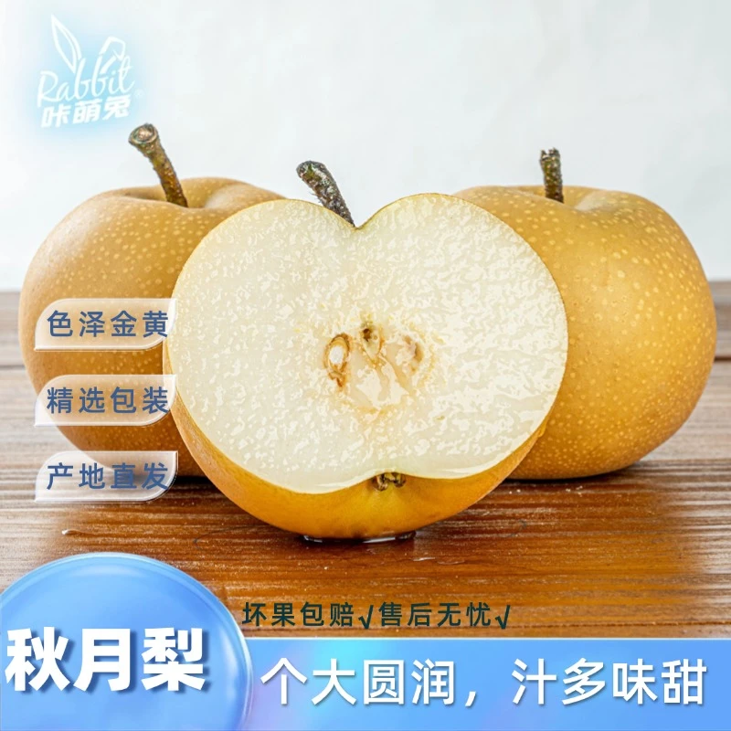 【咔萌兔】莱西秋月梨4.5-5斤彩箱装/4.5斤礼盒装脆甜可口皮薄多汁L