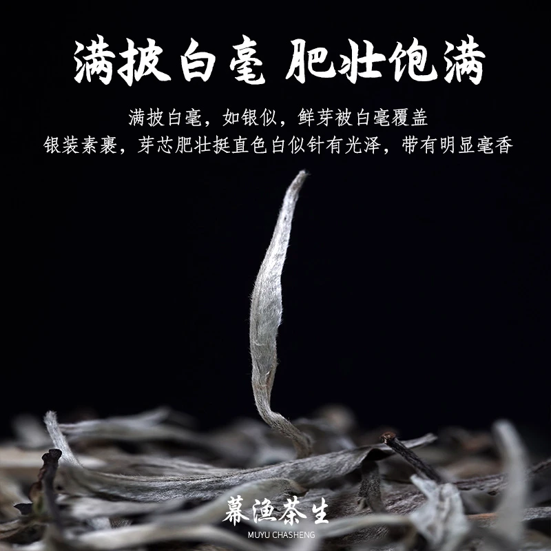 大白毫  白毫银针 毫香花香，茶汤鲜甜