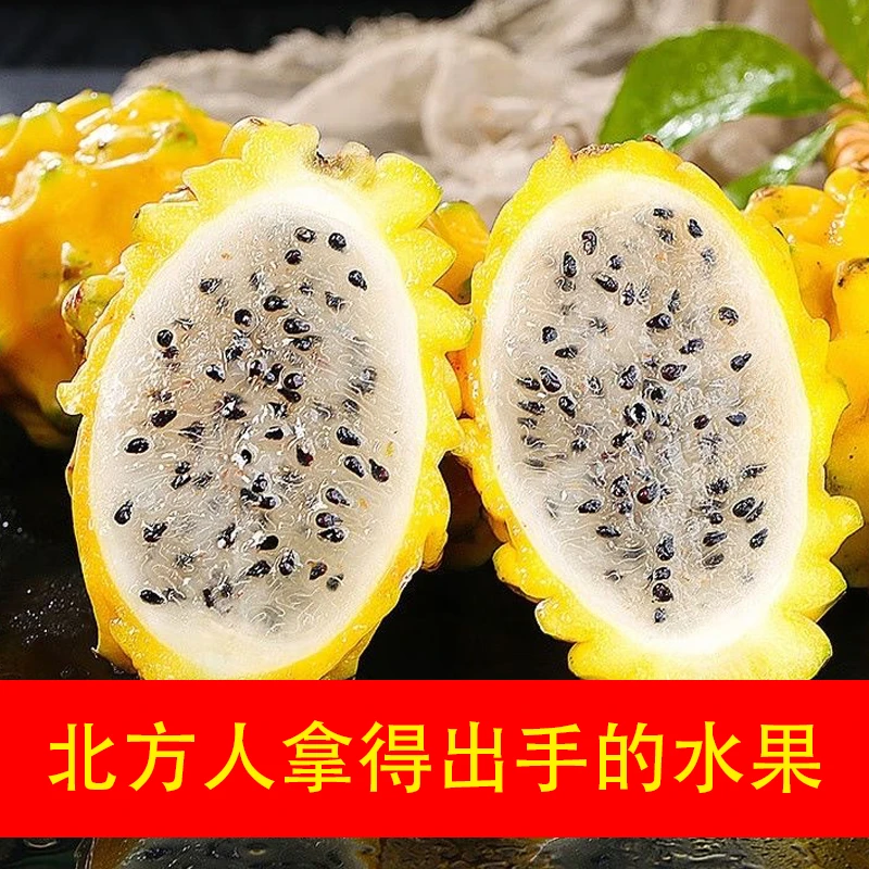 海南燕窝果麒麟果热带水果黄皮白心火龙果新鲜多汁产地现摘直发