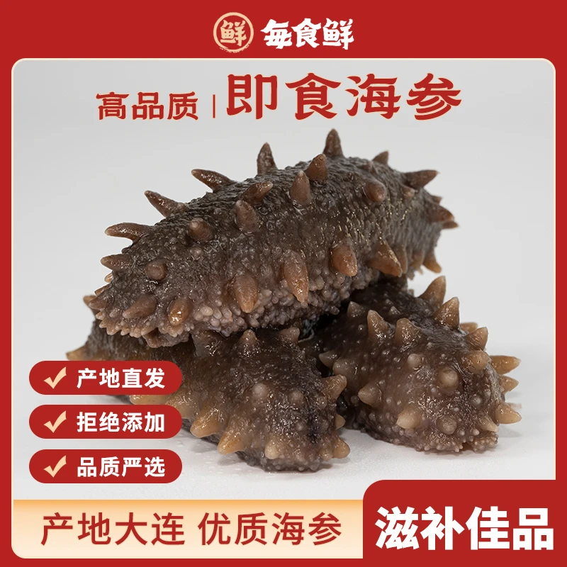 【每食鲜】即食海参{试吃装}正宗大连底播辽刺参营养一只顺丰冷链发
