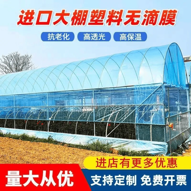 大棚膜PO无滴膜加厚透明抗老化塑料薄膜蔬菜种植地膜大棚塑料膜