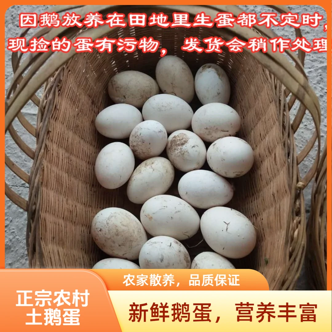 重庆农家正宗土鹅蛋散养粮食鹅蛋新鲜鹅蛋初生蛋孕妇月子蛋6枚装