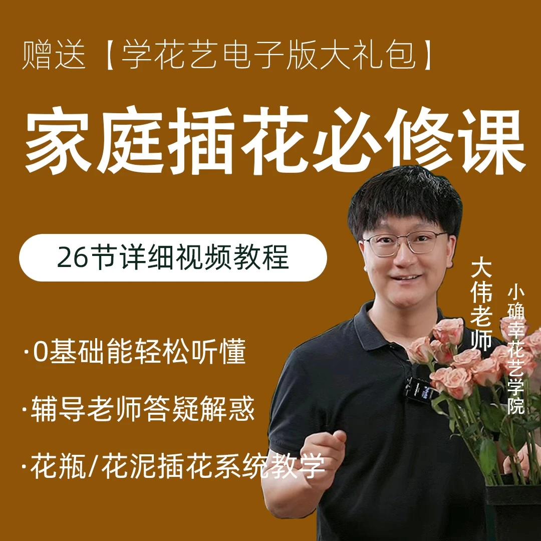 【大伟老师】家庭插花必修课（26节）