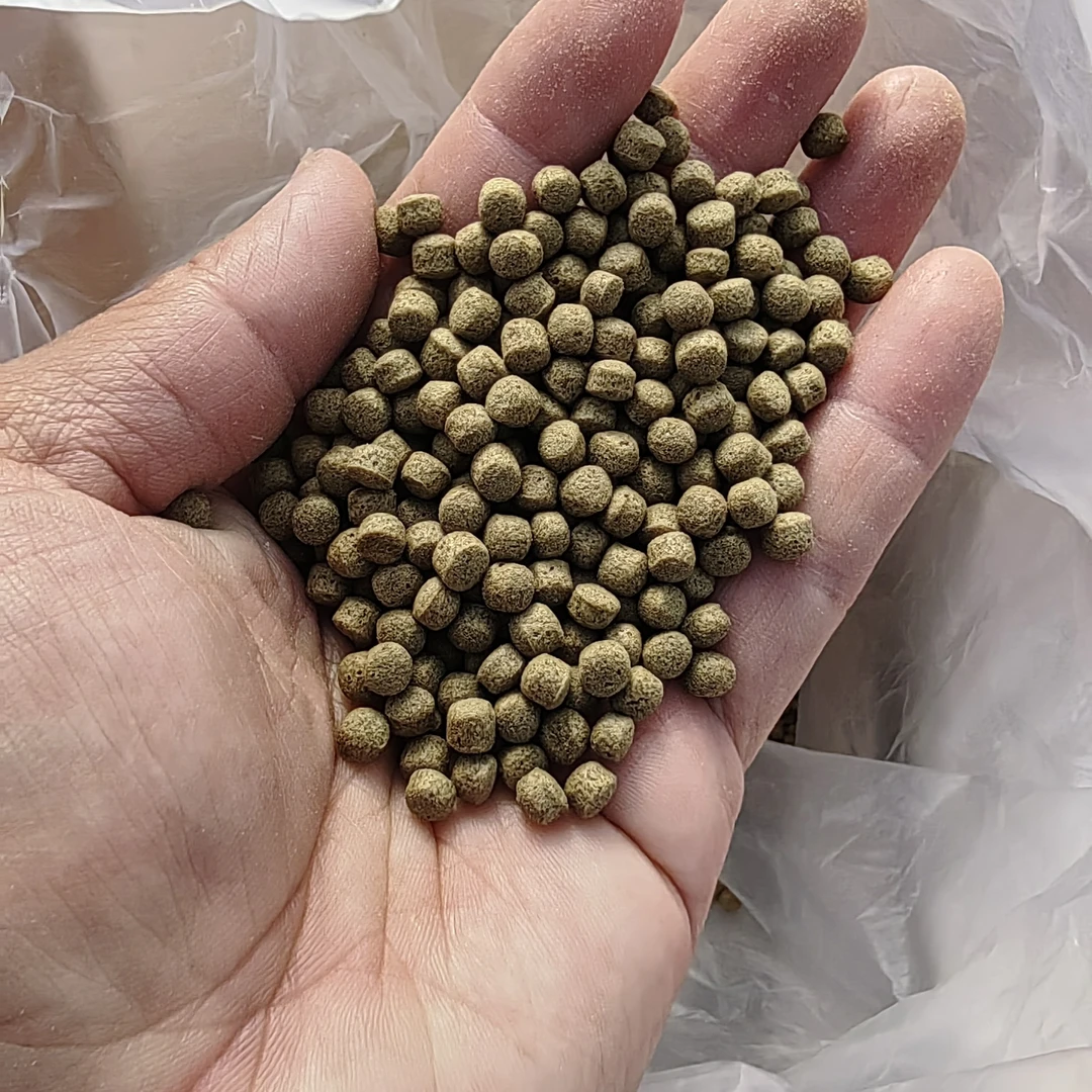 观赏鱼饲料上浮鱼食观赏鱼低温专用鱼粮不浑水增体增色增艳全价料