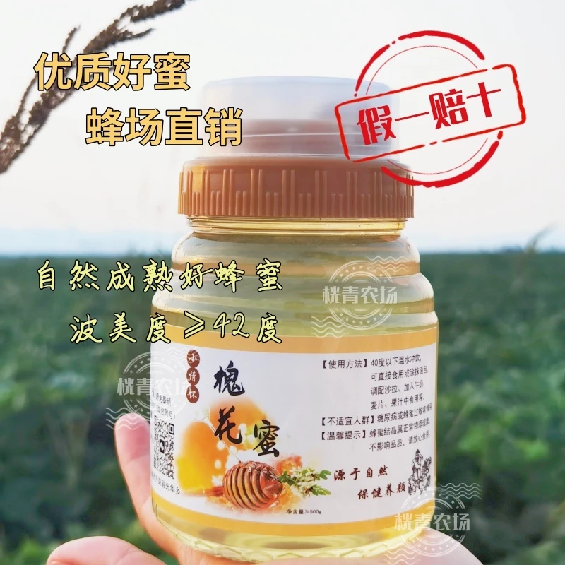 洋槐蜜  优质自然成熟封盖  原浆原蜜