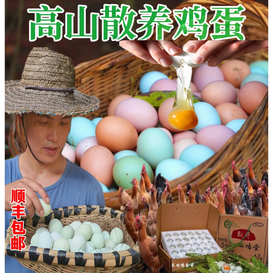 农里鸿贵州林下散养绿壳土鸡蛋新鲜正宗绿壳蛋食用农产品农场