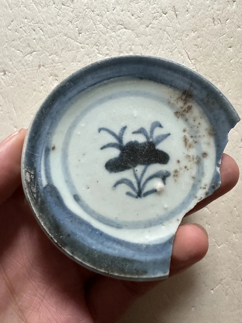 康老板青花碟浙料缺的不多