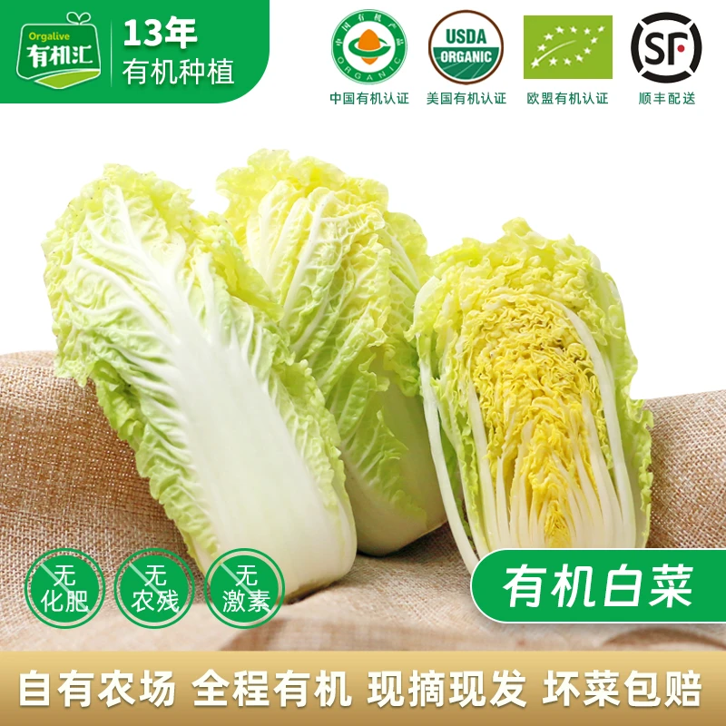 有机汇有机白菜有机蔬菜5斤装山东潍坊顺丰包邮新鲜原产地
