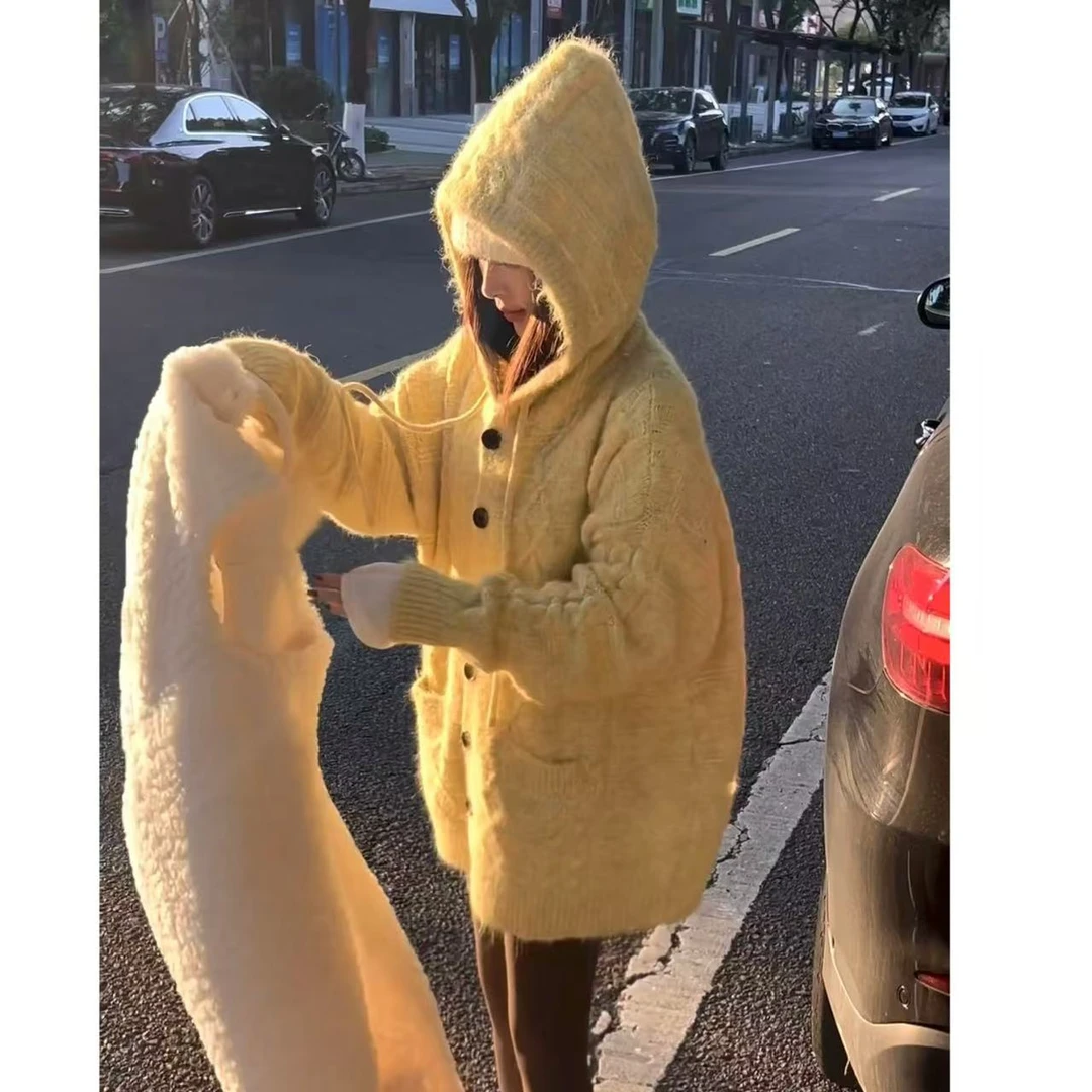 【WEN】画报雪松 复秋冬加厚慵懒连帽毛衣爆款宽松百搭针织 C8052