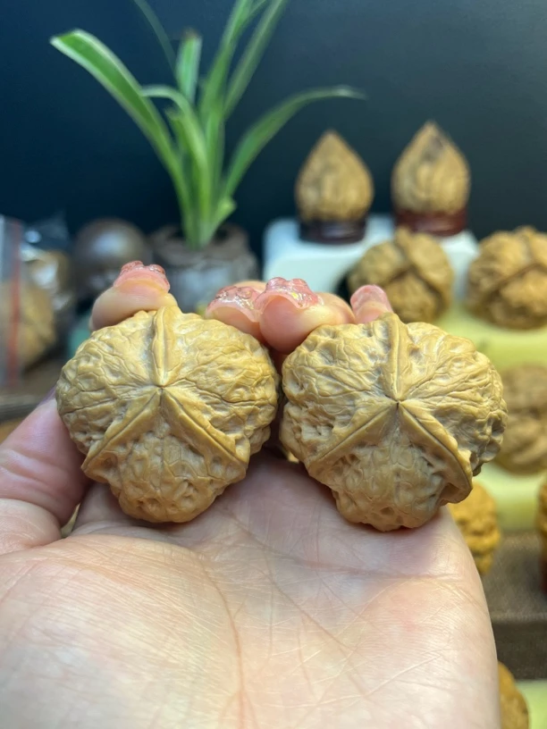 云南野生铁核桃（金鼎三棱）尺寸39