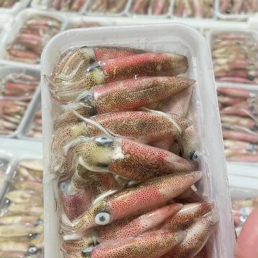 【4盒装】鲜活速冻灯捕一口管鱿鱼 400g/盒（福建东山岛）