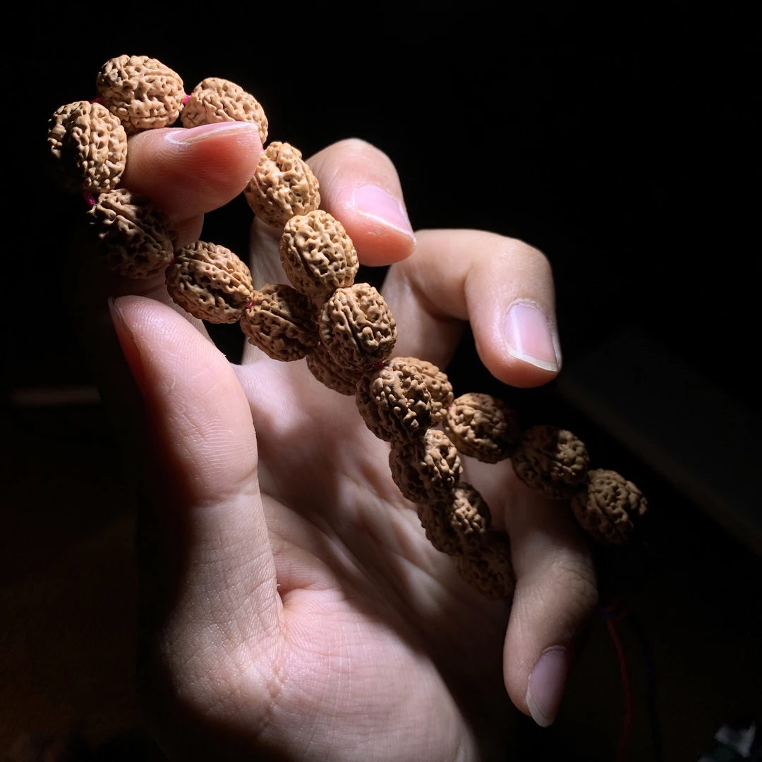［盘龙柱］高端毕业小金刚菩提