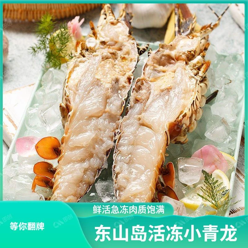 【三只装】东山岛速冻小青龙海冻大青龙鲜嫩澳洲大龙虾花龙
