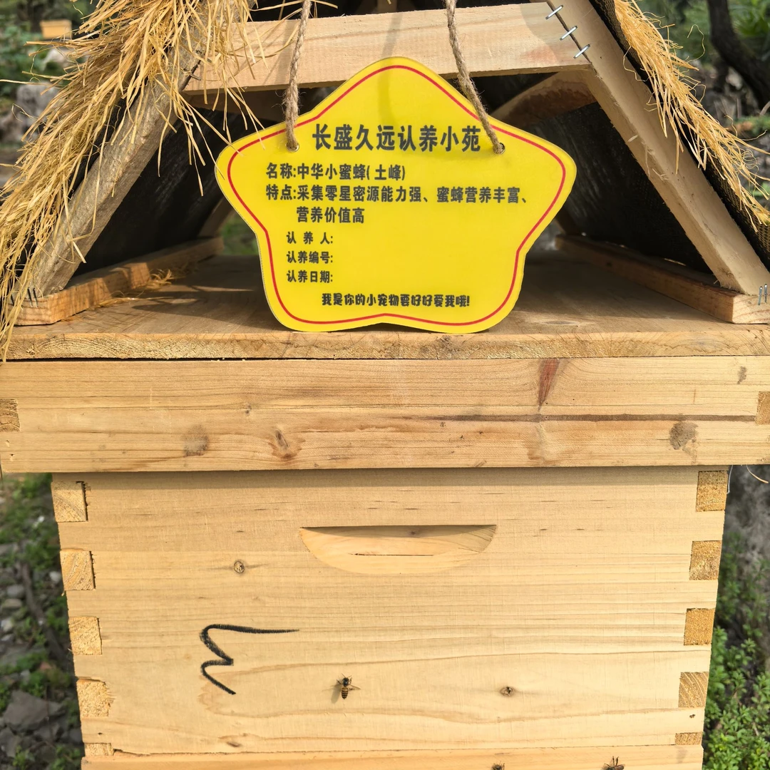 蜜蜂认养    一箱