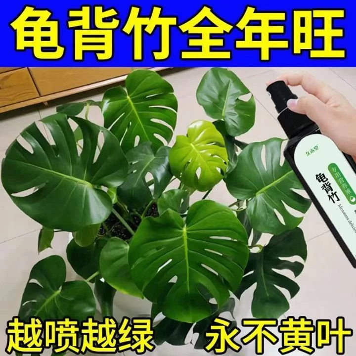 【全年旺】龟背竹营养液专用花肥专治发黄枯萎黑斑发蔫免稀释喷施