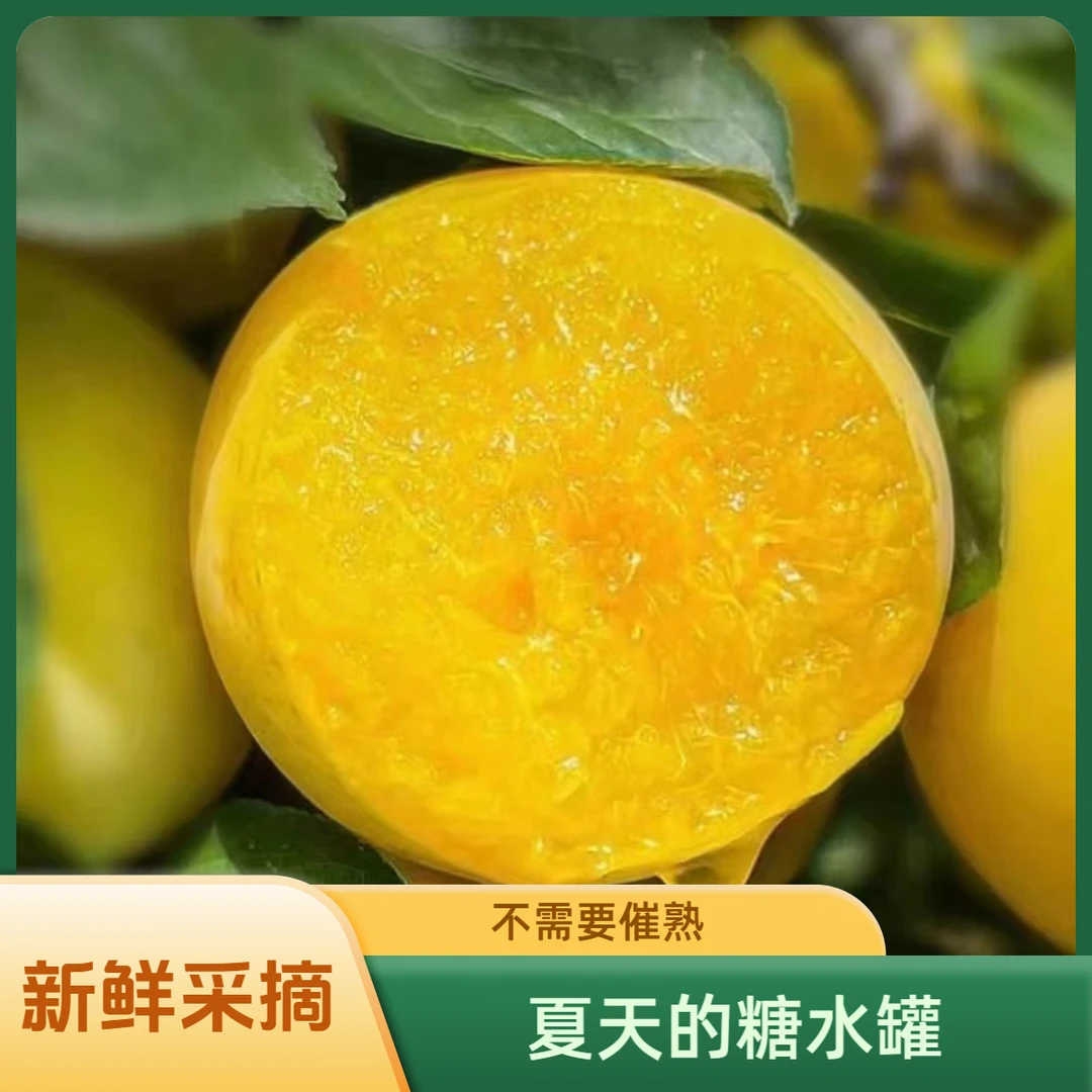 【开园福利】正宗冰糖李四川蜂糖桃花李新鲜采摘香甜皮薄肉厚3斤