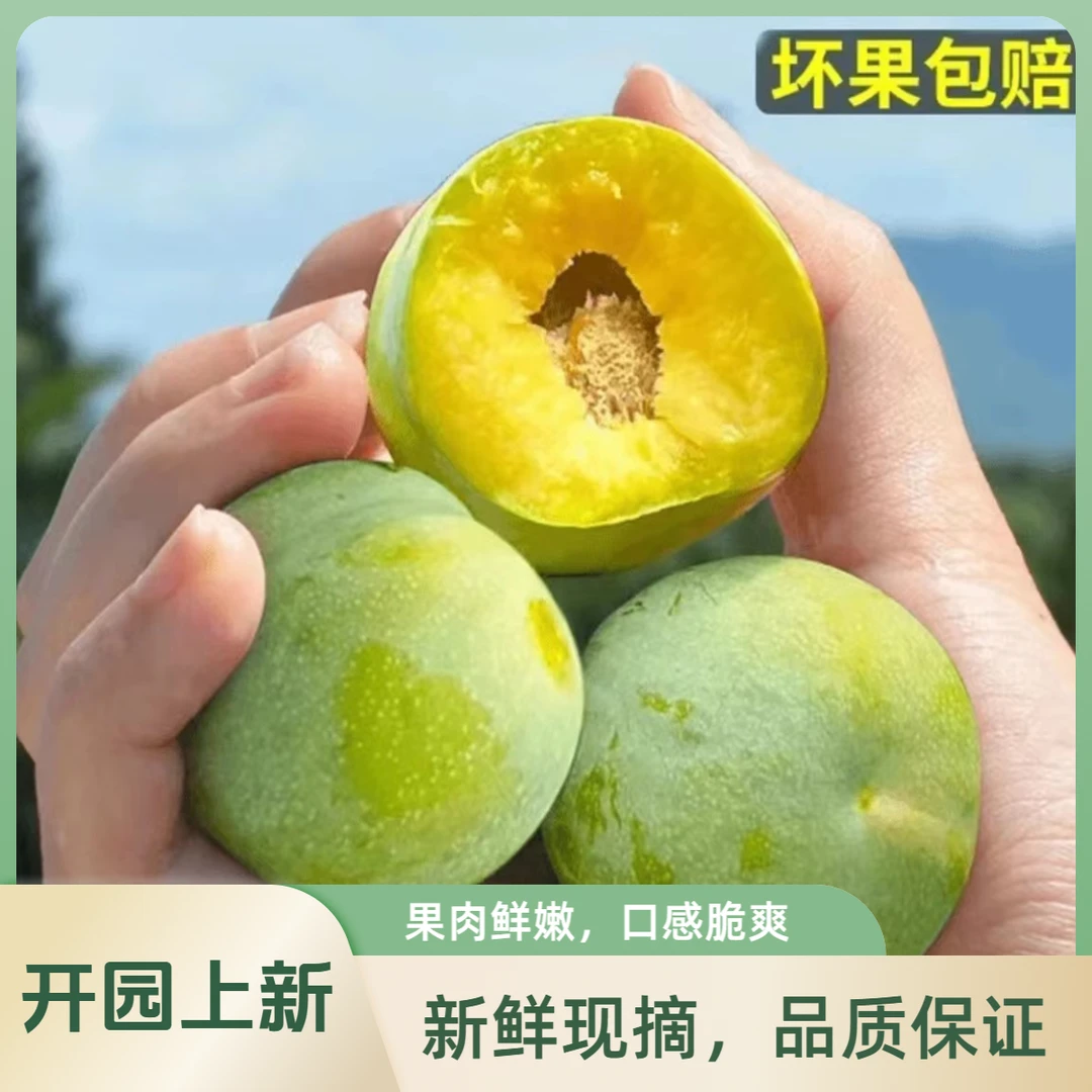 【S应季鲜果】正宗四川青脆李产地脱骨李子新鲜应季水果3斤包邮采摘
