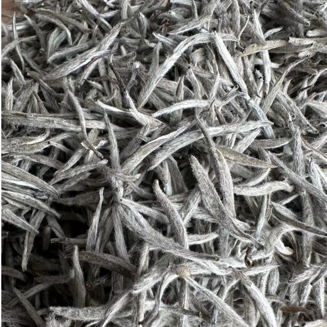 金奖银针 2022年太姥高山白毫银针 / 闽茶杯茶王赛