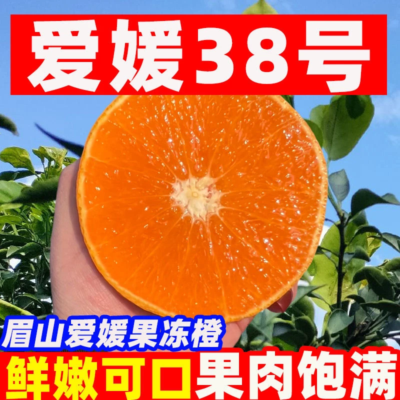 H正宗四川眉山爱媛果冻橙 新鲜采摘