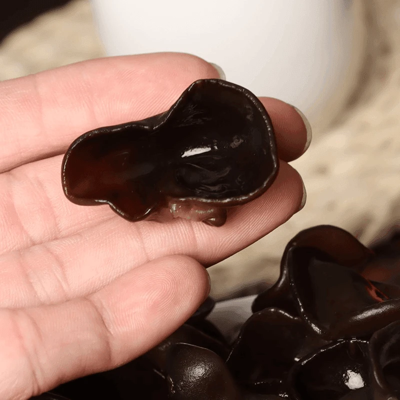 2024头茬东北特产免摘无根木耳400克