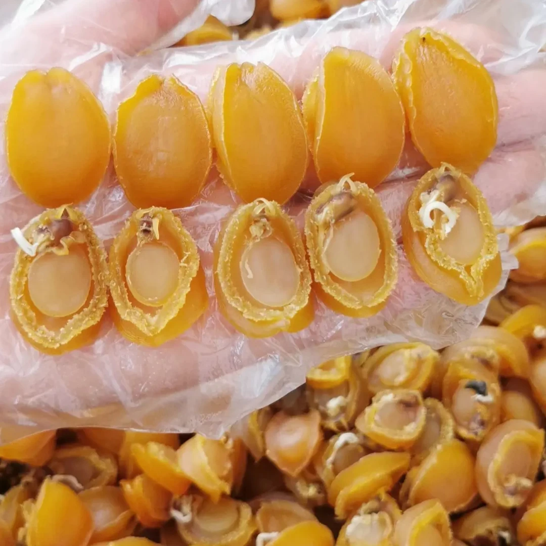 60头大连鲍鱼干特级鲍鱼干精选新鲜晾晒佛跳墙煲汤煲粥鲜味干净