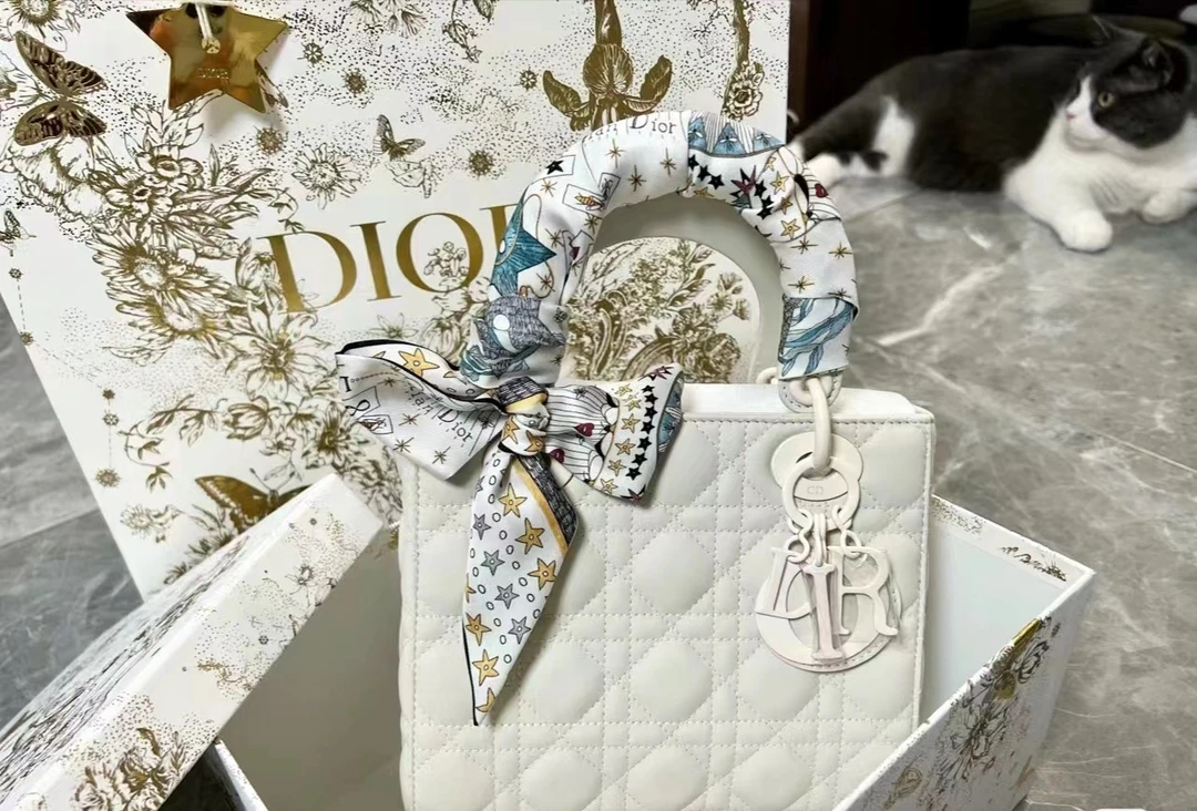 99新 DIOR/迪奥 Dior迪奥戴妃四格磨砂白手拎斜挎包/无公价/甄选