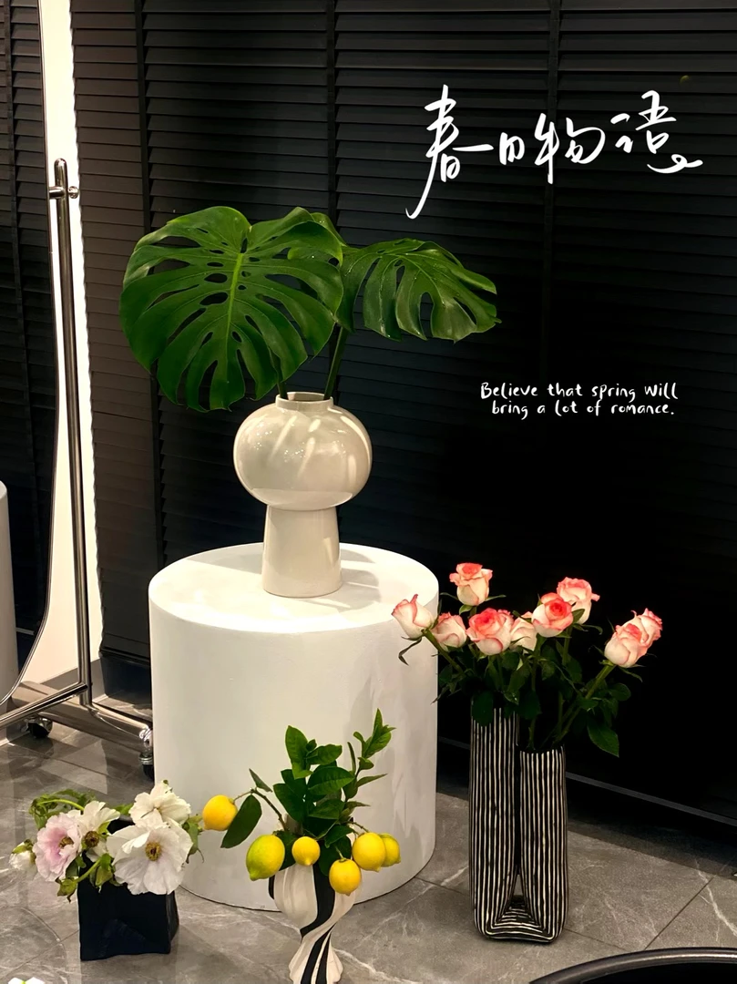 巨无霸龟背竹水培土培好养种植观叶水养土养龟背竹水培龟背竹好看