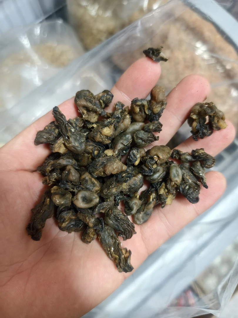 小粒海蛎干金蚝干生蚝干口感好莲子干货500g特级蚝豉500G海蛎子