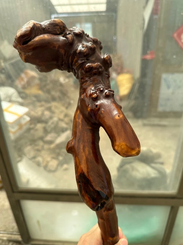 火琉璃穿山针鬼见愁六道木弹弓叉登山杖武术棍拐棍