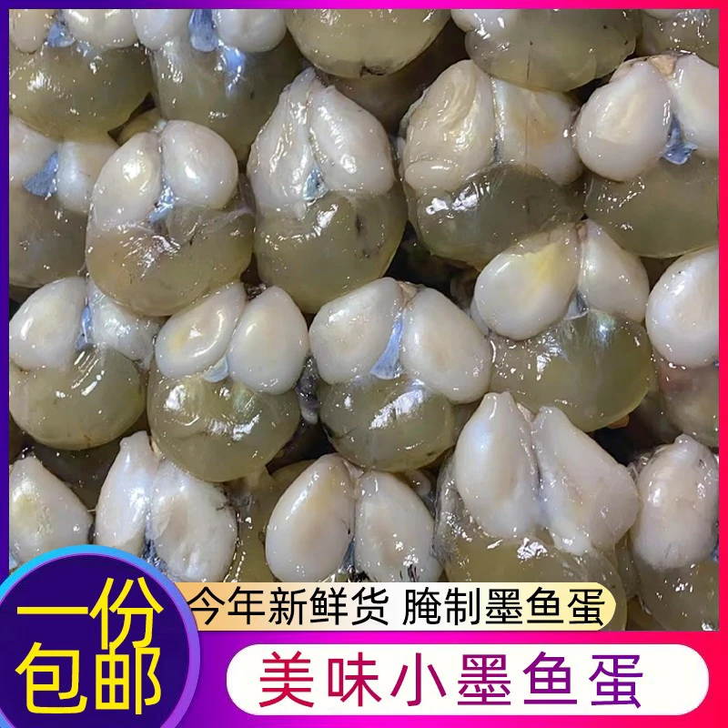 带膏小墨鱼蛋250g 小乌贼蛋目鱼蛋带膏黄 宁波新鲜腌制海鲜包邮