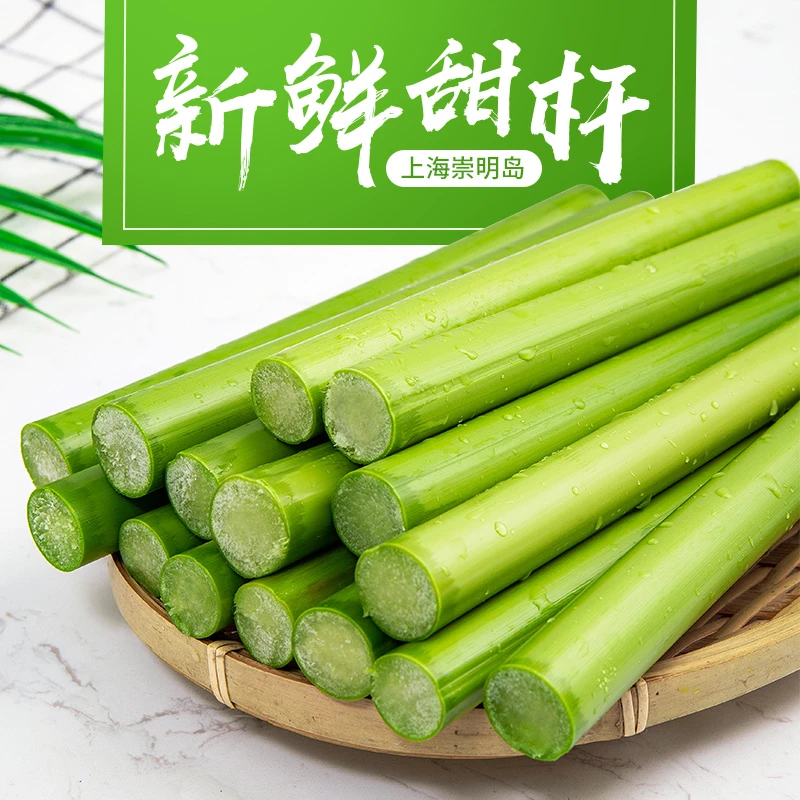 顺丰特快冷链崇明新鲜甜芦粟甜杆甜高粱杆小甘蔗5斤