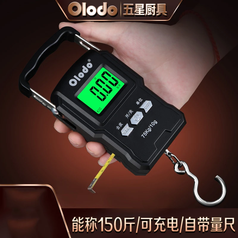 弹簧秤便携式迷你小型钩挂称精准称买菜手提秤高精度电子秤称重器