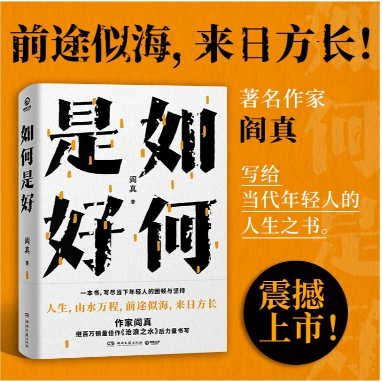 《如何是好》--阎真