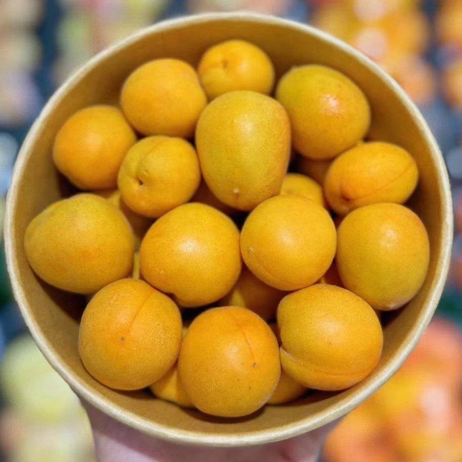 【洗盒】新疆吊杆杏500g