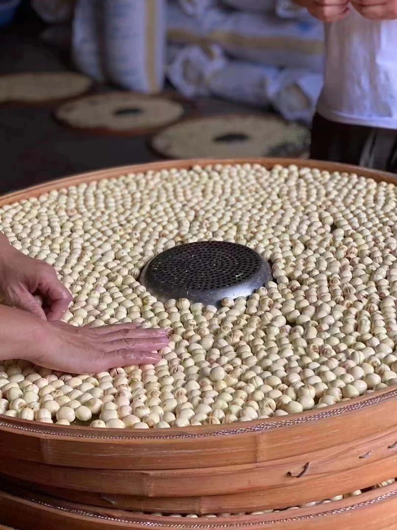 四神汤茯苓+莲子+山药+芡实各250g