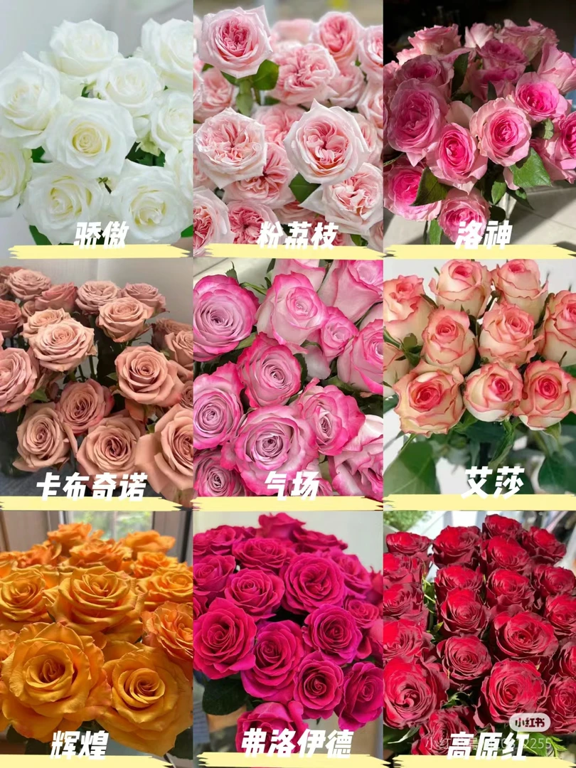 随机玫瑰2把40枝+10枝百合，看好再拍不售后不售后