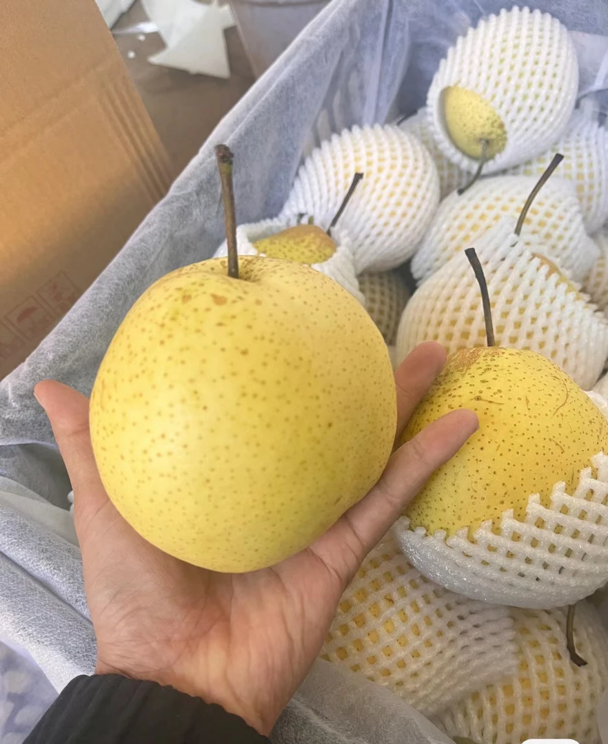 冰糖雪梨2个装（600）