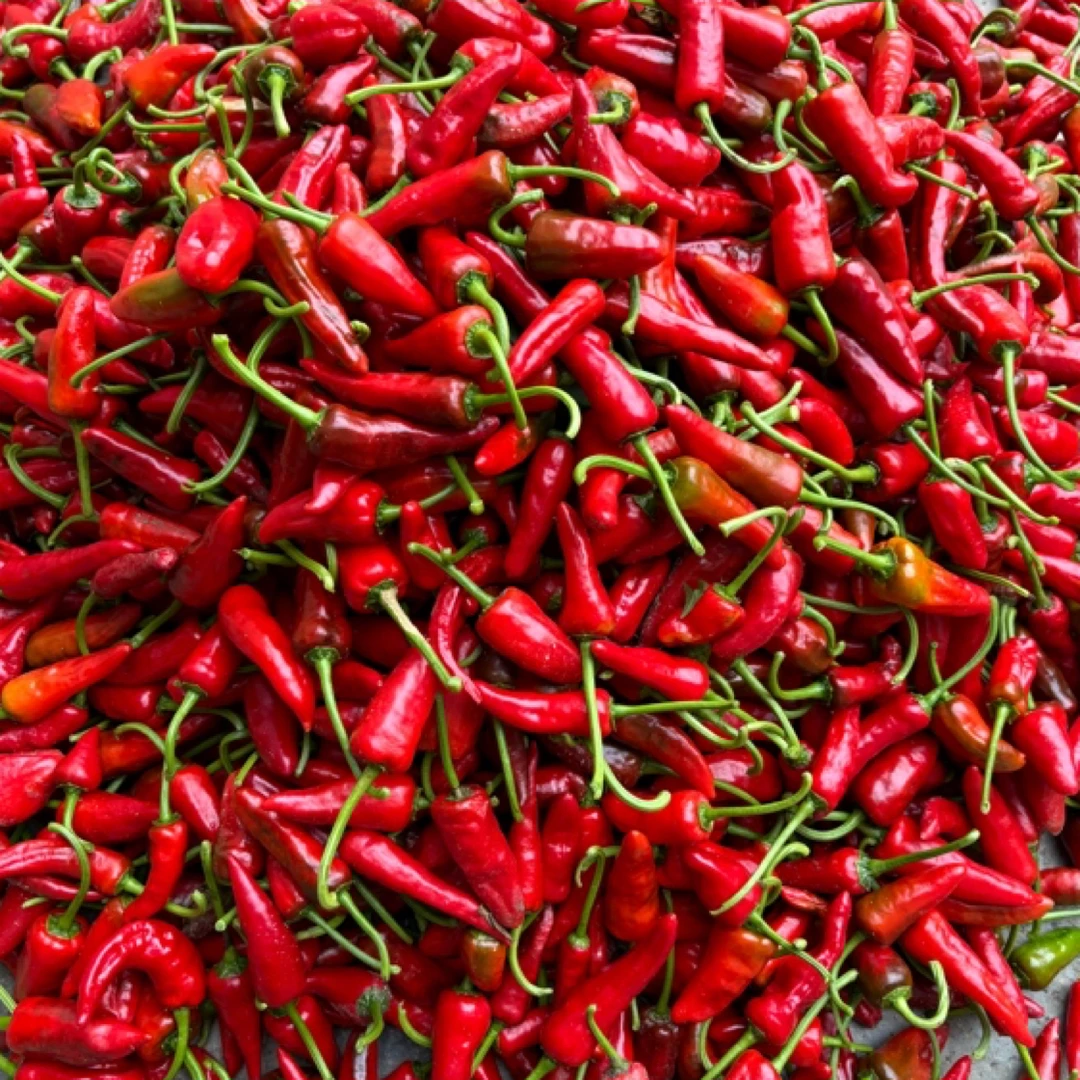农村红辣椒剁椒泡椒新鲜本地辣椒农家自种露天辣椒糟辣椒新鲜现发