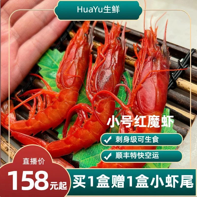 红魔虾小小号赠小号虾尾一斤装顺风包邮新鲜源头深海红魔虾刺身